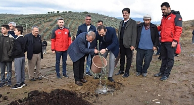 MUĞLA’DA 'DÜNYA ZEYTİN GÜNÜ' KUTLANDI