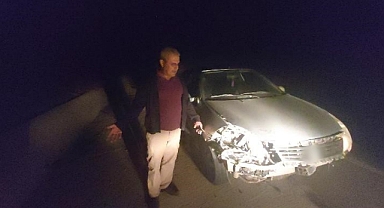 MUĞLA'DA OTOMOBİL DOMUZ SÜRÜSÜNE DALDI, 4 DOMUZ TELEF OLDU