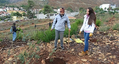 SOSYAL MEDYADAN HABERLEŞTİLER, 500 FİDAN DİKTİLER