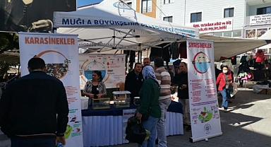 VATANDAŞLARA VEKTÖRLE MÜCADELE BİLGİLENDİRMESİ