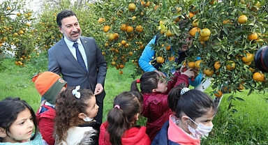 BAŞKAN ARAS, ÖĞRENCİLERLE MANDALİNA HASADI YAPTI