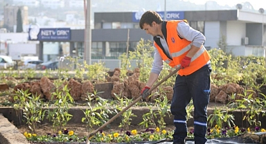BODRUM’DA PEYZAJ ÇALIŞMALARI DEVAM EDİYOR