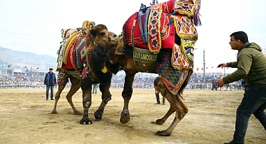 GÜLLÜK DEVE GÜREŞİ 18 ARALIK’TA