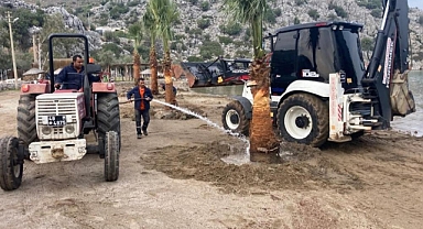MARMARİS'TE HALK PLAJLARINA PALMİYE AĞAÇLARI DİKİLDİ