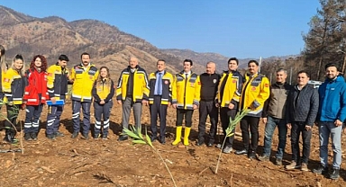 MARMARİS'TE SAĞLIK ÇALIŞANLARI BİN 120 FİDANI TOPRAKLA BULUŞTURDU