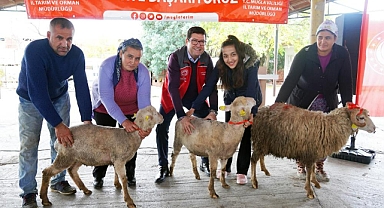 MUĞLALI KADIN ÜRETİCİLERE BİN 300 KOYUN, 52 KOÇ DAĞITILDI