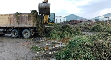 ORTACA’DA YEŞİL ALANLARDA BAKIM ÇALIŞMASI