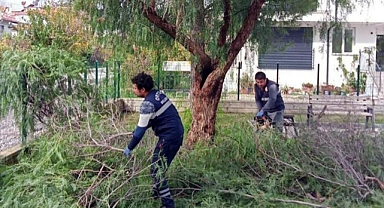 ORTACA’DA ‘YEŞİL’ SEFERBERLİK