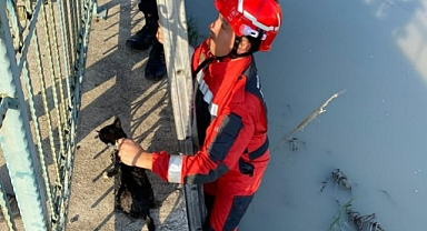 SEYDİKEMER’DE ÇAYA DÜŞEN KEDİYİ İTFAİYE KURTARDI