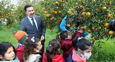 BELEDİYE, ELDE KALAN MANDALİNALARI SATIN ALACAK