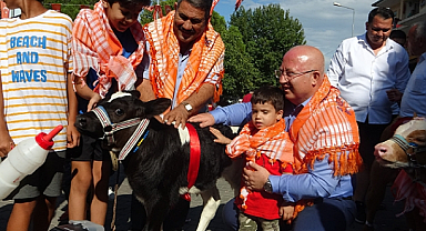 BUZAĞILAR PODYUMA ÇIKTI 