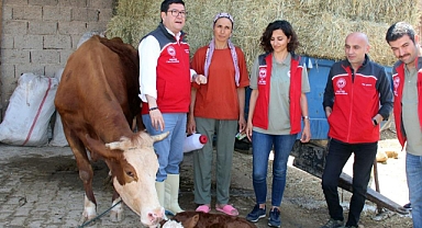 ‘BUZAĞINA SAHİP ÇIK’ PROJESİ 13 İLÇEDE UYGULANACAK