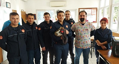 İTFAİYE EKİPLERİ KURTARDIKLARI KEDİYİ SAHİPLENDİ