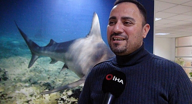 KORUMA ALTINDAKİ KÖPEKBALIĞI, KIYIYA YAKIN GÖRÜNTÜLENDİ