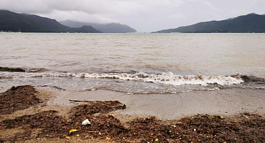 MARMARİS’TE DENİZİN RENGİ KAHVERENGİYE DÖNDÜ