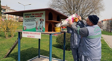 MENTEŞE BELEDİYESİ SOKAKTAKİ CAN DOSTLARI UNUTMADI