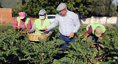 MENTEŞE BELEDİYESİ ‘TOHUM BANKASI’ KURUYOR