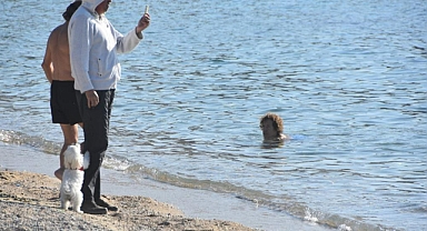 OCAK AYINDA DENİZ KEYFİ