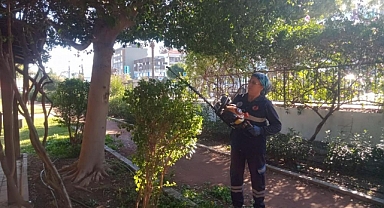 ORTACA’DA YEŞİL ALANLARININ MEVSİMSEL BAKIMLARI YAPILIYOR