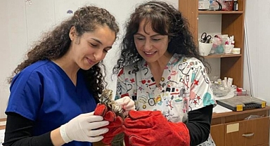 ŞAHİN YAVRUSUNU KURTARMAK İÇİN SEFERBER OLDU