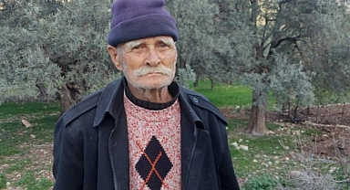  “ÇEVRECİLER ZEYTİN AĞAÇLARIMI KURTARMAMA İZİN VERMEDİ”