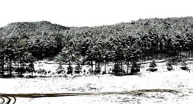 KAVAKLIDERE'DE KAR NEDENİYLE OKULLAR TATİL EDİLDİ