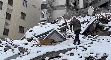 TSK’YA AİT ARAMA KURTARMA KÖPEKLERİ ENKAZ ÇALIŞMALARINDA GÖREV ALIYOR