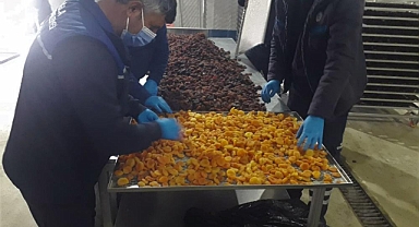 BÜYÜKŞEHİR, MALATYA’DA ÜRETİCİLERDEN SATIN ALDIĞI KAYISILARI ÜCRETSİZ DAĞITACAK