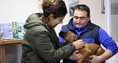 DEPREMZEDE AİLE İLE DEPREMZEDE KÖPEĞİN BULUŞMA ANI