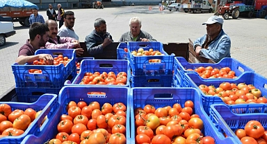 DOMATES İHRACATINDAKİ YASAK KALDIRILDI