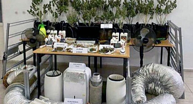 JANDARMADAN DALAMAN’DA UYUŞTURUCU OPERASYONU