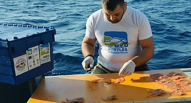 KAPLUMBAĞA DIŞLAMA CİHAZI TESTLERİ DEVAM EDİYOR