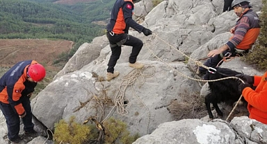 KAYALIKLARDA MAHSUR KALAN KEÇİYİ MAG-AME EKİBİ KURTARDI