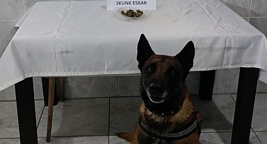 ‘KONT’ DESTEKLİ UYUŞTURUCU DENETİMİ