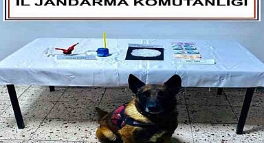 KONT YAKALADI HAKİM TUTUKLADI