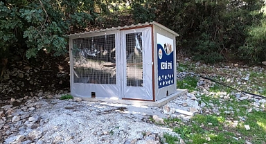 MARMARİS BELEDİYESİ'NDEN KEDİ EVİ PROJESİ