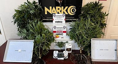 MARMARİS’TE EVİNDE UYUŞTURUCU YETİŞTİREN ŞAHIS YAKALANDI
