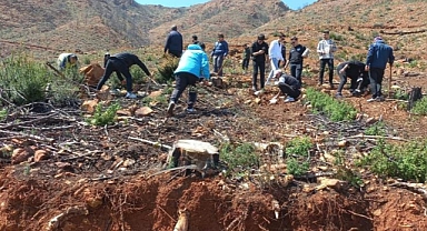 MARMARİS’TE FİDAN DİKİM ETKİNLİKLERİ DEVAM EDİYOR