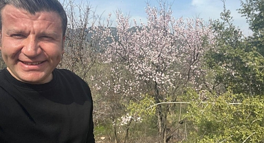 MUĞLA'DA BADEM AĞAÇLARI ÇİÇEK AÇTI