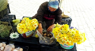 MUĞLA'DA KUZUGÖBEĞİ ALTINLA YARIŞIYOR