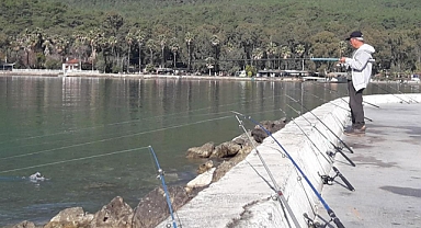 MUĞLA’DA OLTA BALIKÇILIĞI ALANLARI DIŞINDA AVLANMAK YASAK
