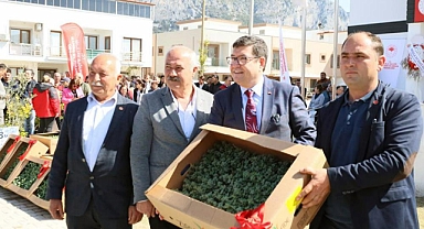 ÖREN'DE ÜRETİCİLERE 100 BİN ITRİ BİTKİ DAĞITILDI