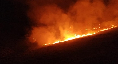 BODRUM'DA OTLUK VE MAKİLİK ARAZİDE YANGIN