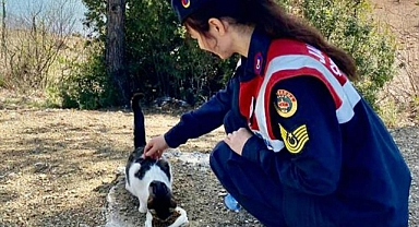 JANDARMA SOKAK HAYVANLARINI ELLERİ İLE BESLEDİ