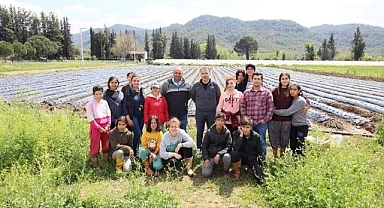 KÖYCEĞİZ’DE ÖĞRENCİLER ÇİLEK YETİŞTİRİCİLİĞİNE BAŞLADI