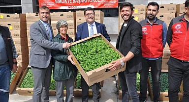 MUĞLA'DA 450 ÜRETİCİYE 800 BİN YERLİ FİDE DAĞITILDI