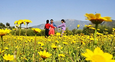 PAPATYALARI GÖREN KIRLARA KOŞTU
