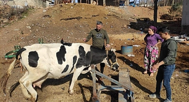 ŞAP AŞILARI SONUÇ VERDİ