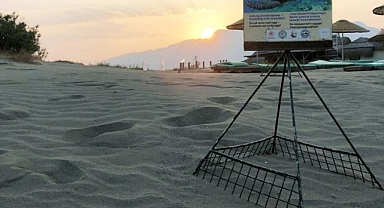 SEZONUN İLK CARETTA YUVASI KORUMA ALTINA ALINDI