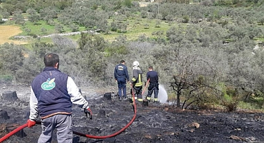TEMİZLİK ATEŞİ ORMANI YAKIYORDU